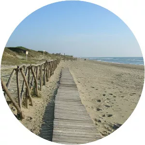 Lido di Castel Fusano - 