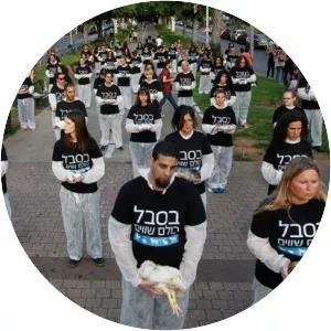 Life According to Ohad