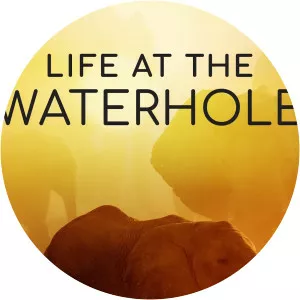 Life at the WaterholeSince 2021