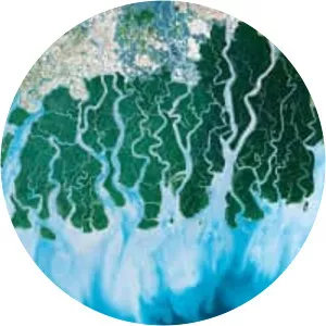 Life From Above - TV program