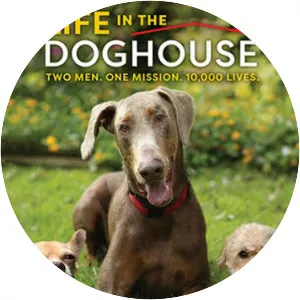 Life in the Doghouse - 2018 ‧ Documentary ‧ 1h 24m