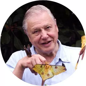 Life in the Undergrowth - Animated series