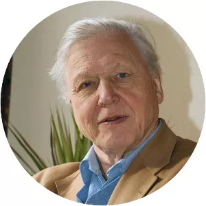 Life on Earth - British television series