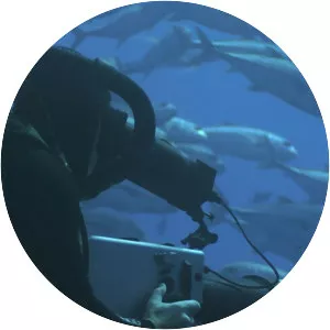 Life on Location - TV program