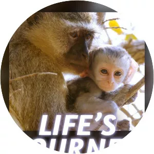 Life's Journey - TV program