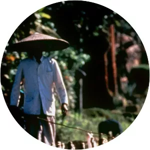 Lifesense - 1991 ‧ Nature documentary ‧ 1 season