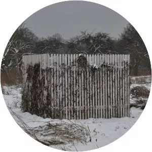 Light Mirror - Album by Drowse