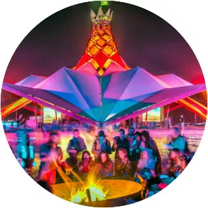 Lightning in a Bottle