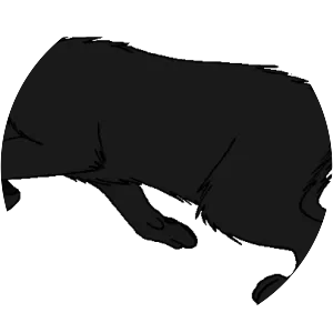 Lightning Tail - Fictional character