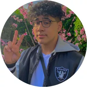 Lilbubblegum - Musical artist