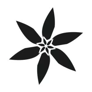 Lilium Records - Musical group