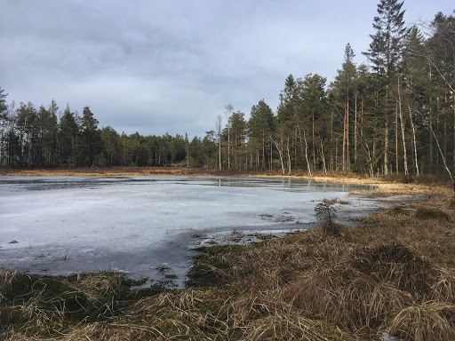 Lille Tutjern - Swimming lake in Norway