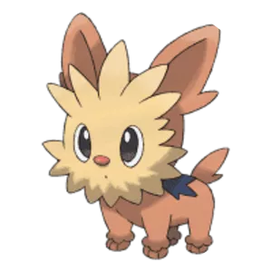 Lillipup