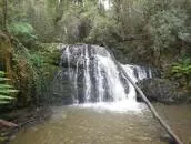 Lilydale Falls - 