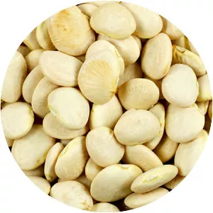 Lima bean - 