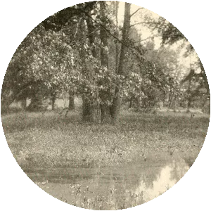 Limberlost Swamp photograph