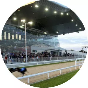 Limerick Greyhound Stadium