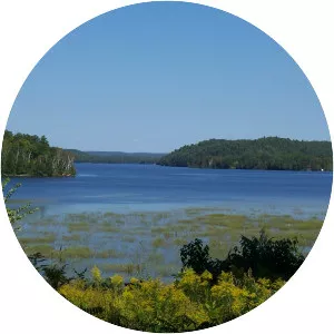 Limerick Lake