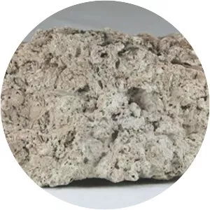 Limestone