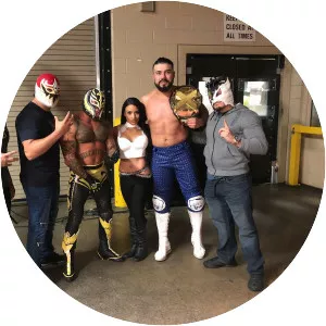 Lince Dorado
