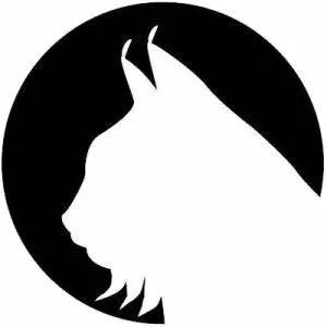 Lince Works - Video game developer