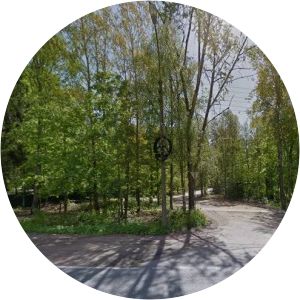 Lindykibskaya roshcha