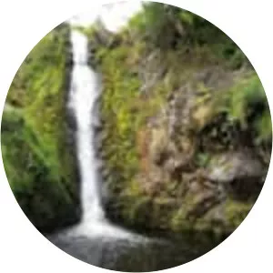 Linhope Spout Waterfall - 