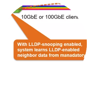 Link Layer Discovery Protocol - 