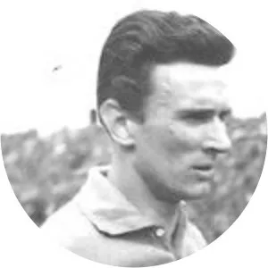 Lino Grava - Italian football player