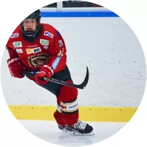 Linus Nässén - Ice hockey player