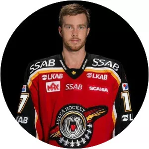 Linus Persson - Swedish handball player