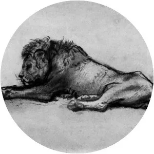 Lion resting - Artwork