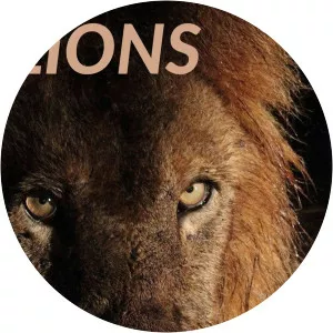 Lions