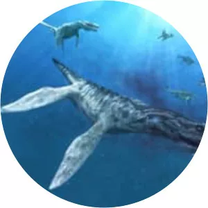 Liopleurodon