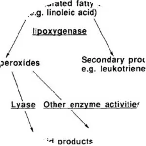 Lipoxygenase