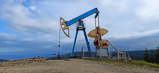 Lisnychivka - Forestry service in Ukraine