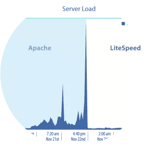 LiteSpeed Web Server photograph