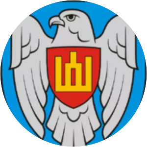 Lithuanian Air Force - Military