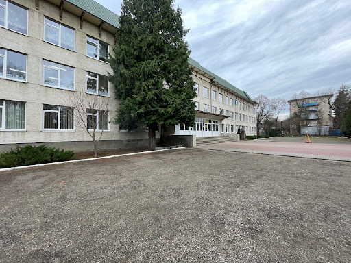 Litsey Imeni Vasylya Stefanyka - School in Sniatyn, Ukraine