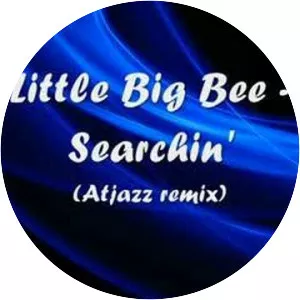 Little Big Bee - 