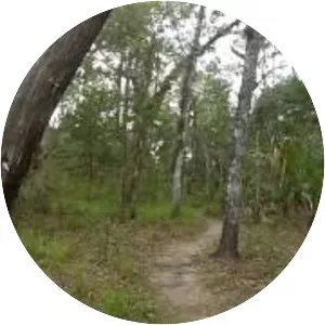 Little Big Econ State Forest - 