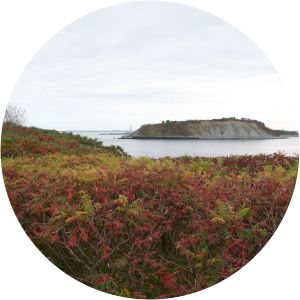 Little Calf Island - Island in the Boston Harbor