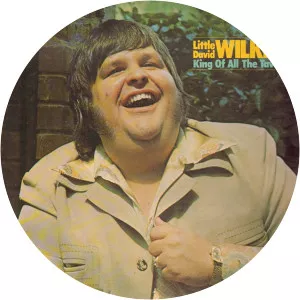 Little David Wilkins