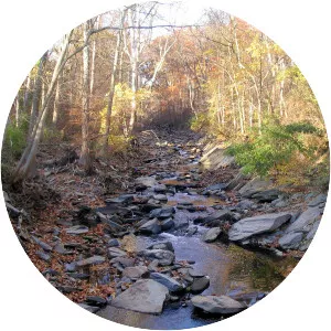 Little Falls Branch - Tributary in Maryland