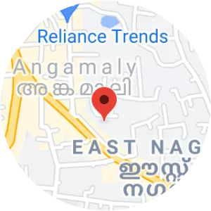 Little Flower Hospital and Research Centre,Angamaly