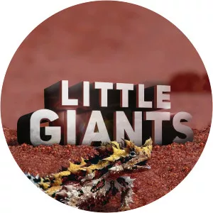 Little GiantsSince 2019