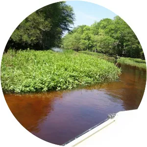 Little Pee Dee River - 