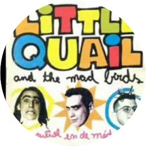 Little Quail and the Mad Birds - Musical group