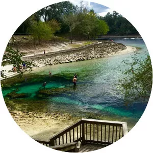 Little River Springs - Spring in Florida
