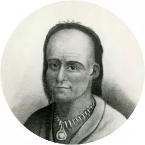 Little Turtle - Military leader